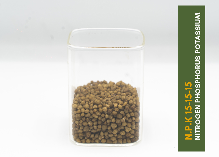 single-img-twentytwo