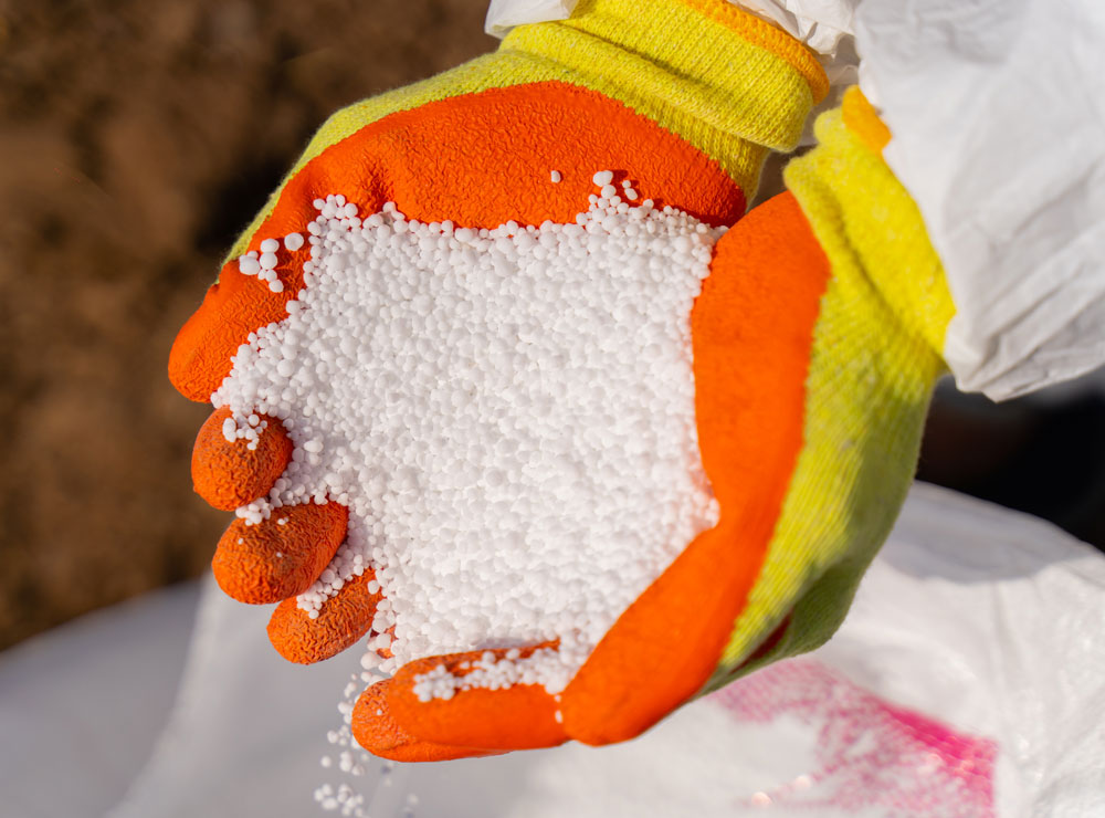 single-img-twentyfive