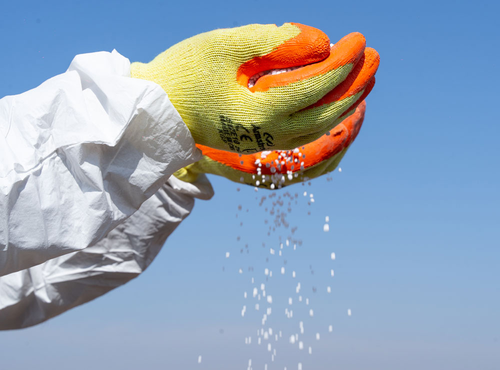 single-img-twentyfour