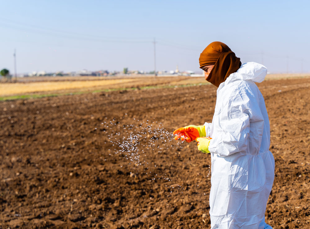 single-img-twentysix