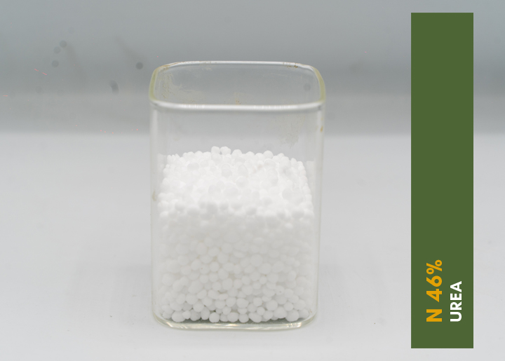 single-img-twentytwo